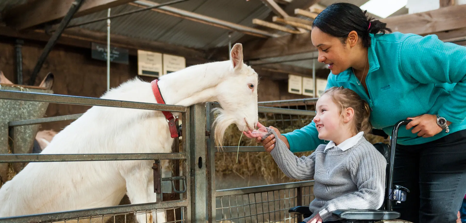 Accessibility in the farmyard & playground