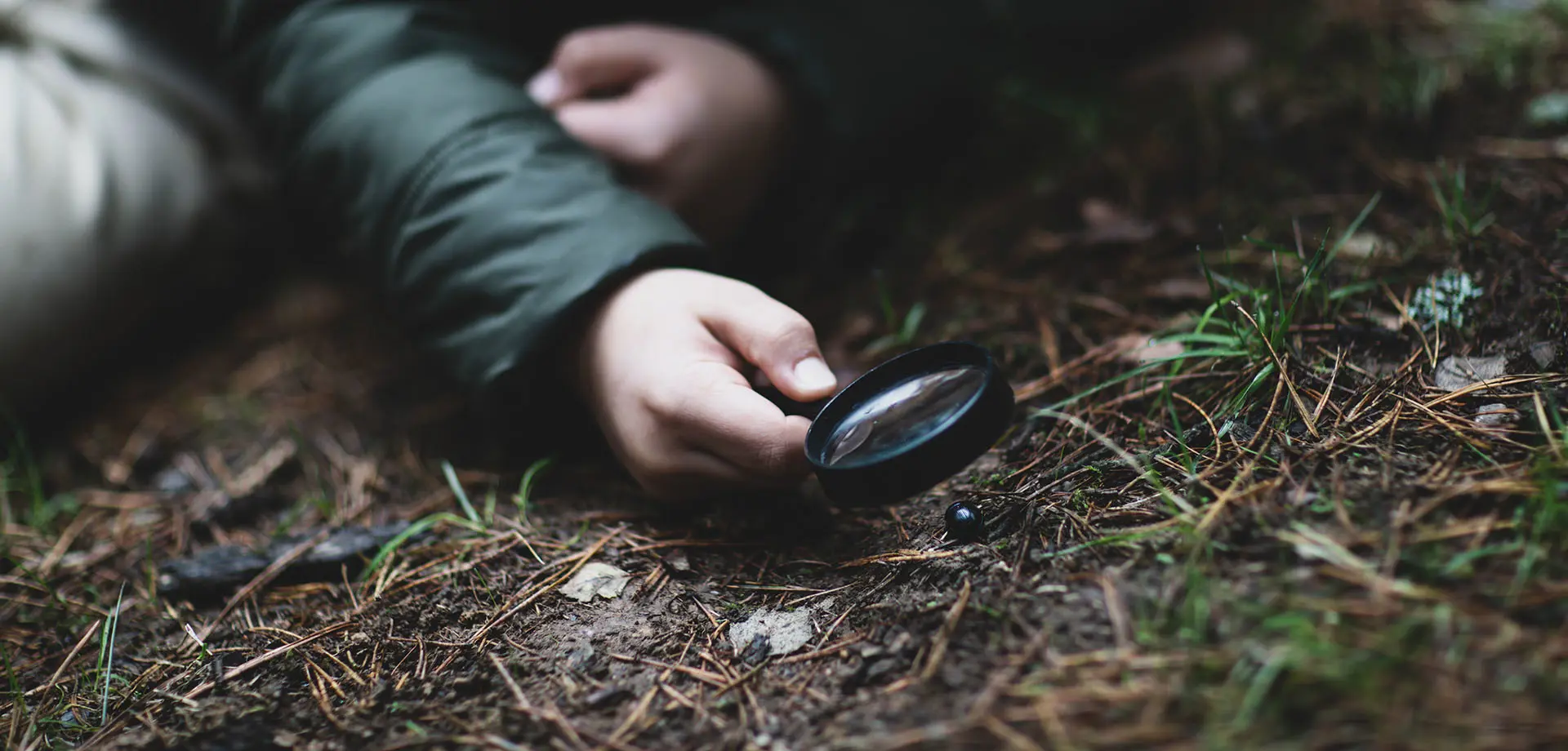 The Woodland Lab - Children's Workshop & Walk