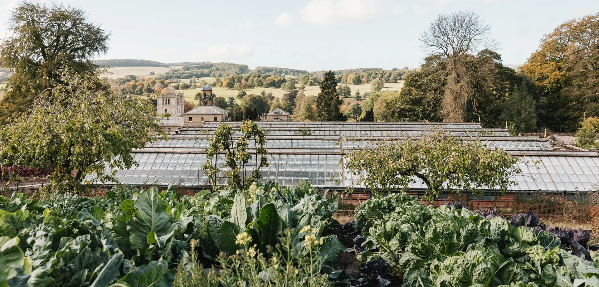 Kitchen Garden