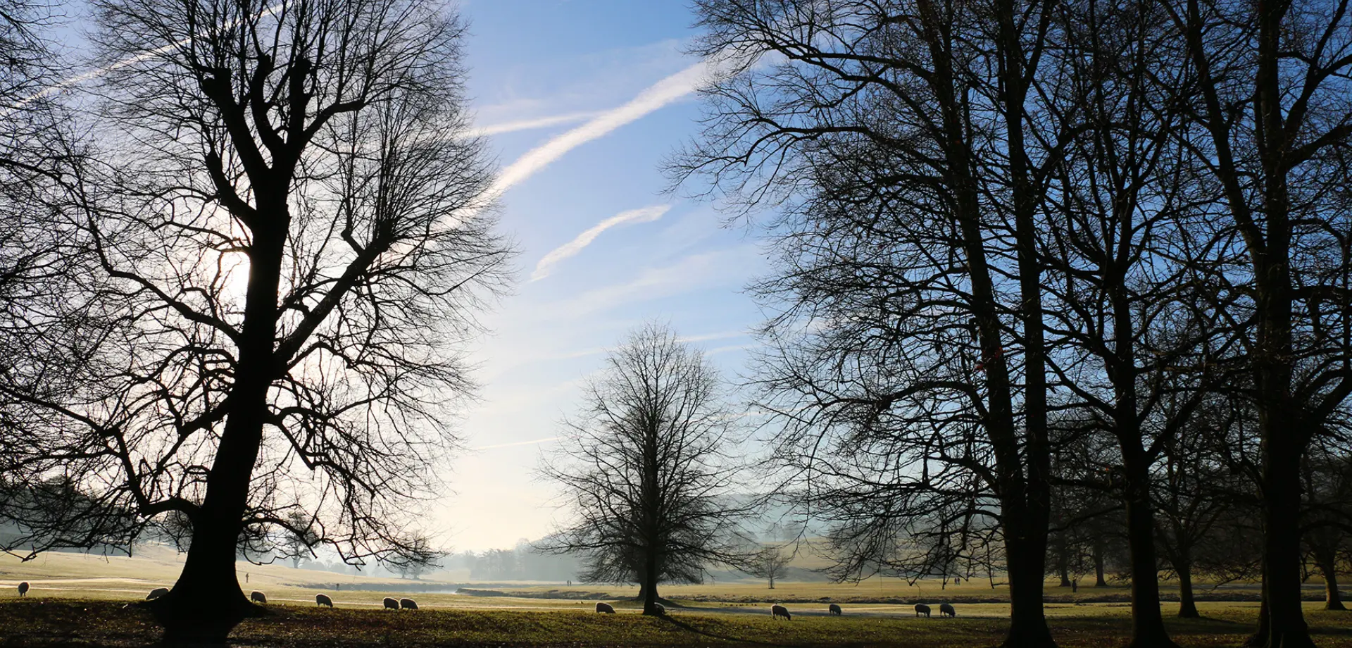 Winter at Chatsworth