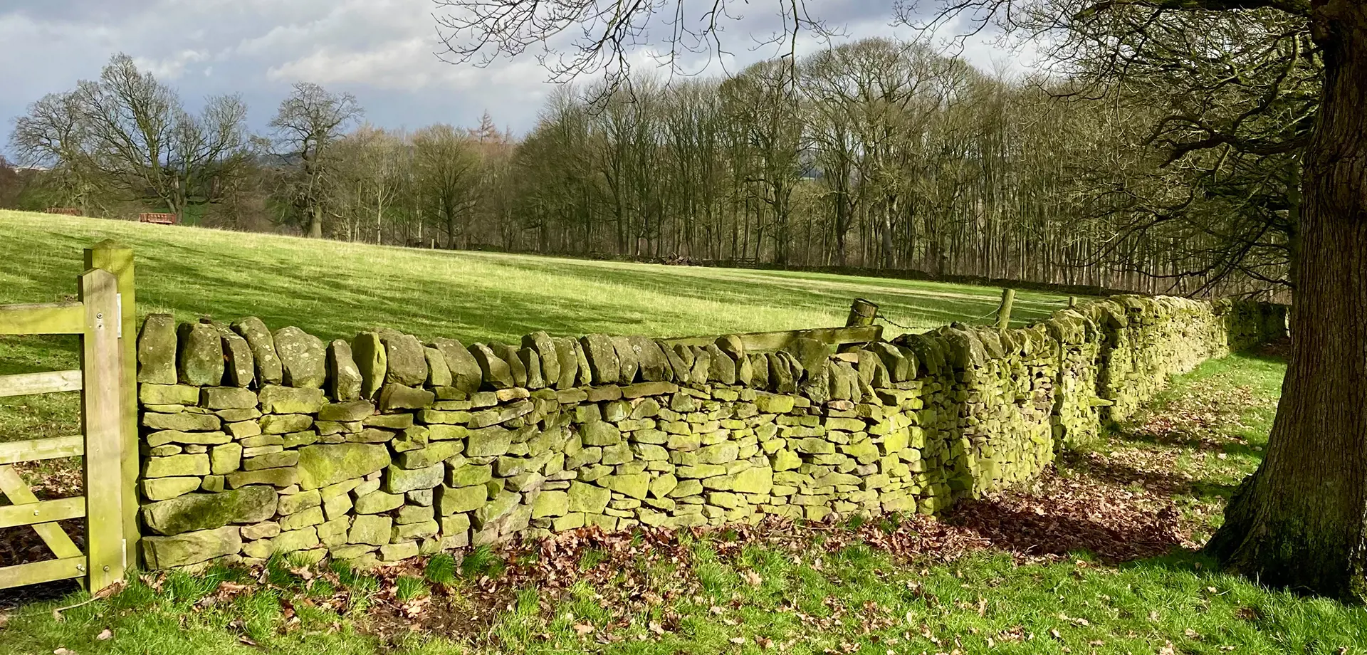 Dry Stone Walling for Beginners