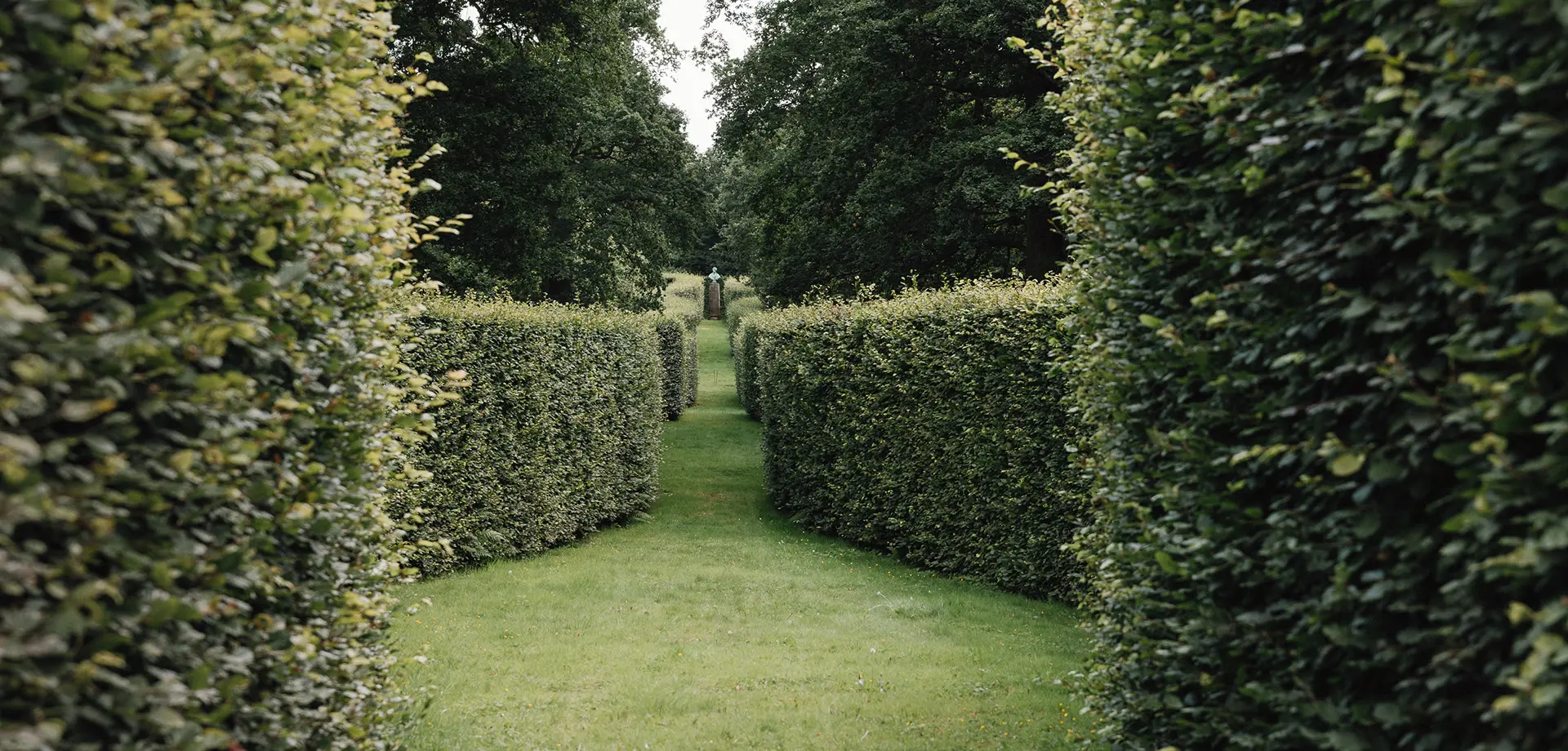 Serpentine Hedges