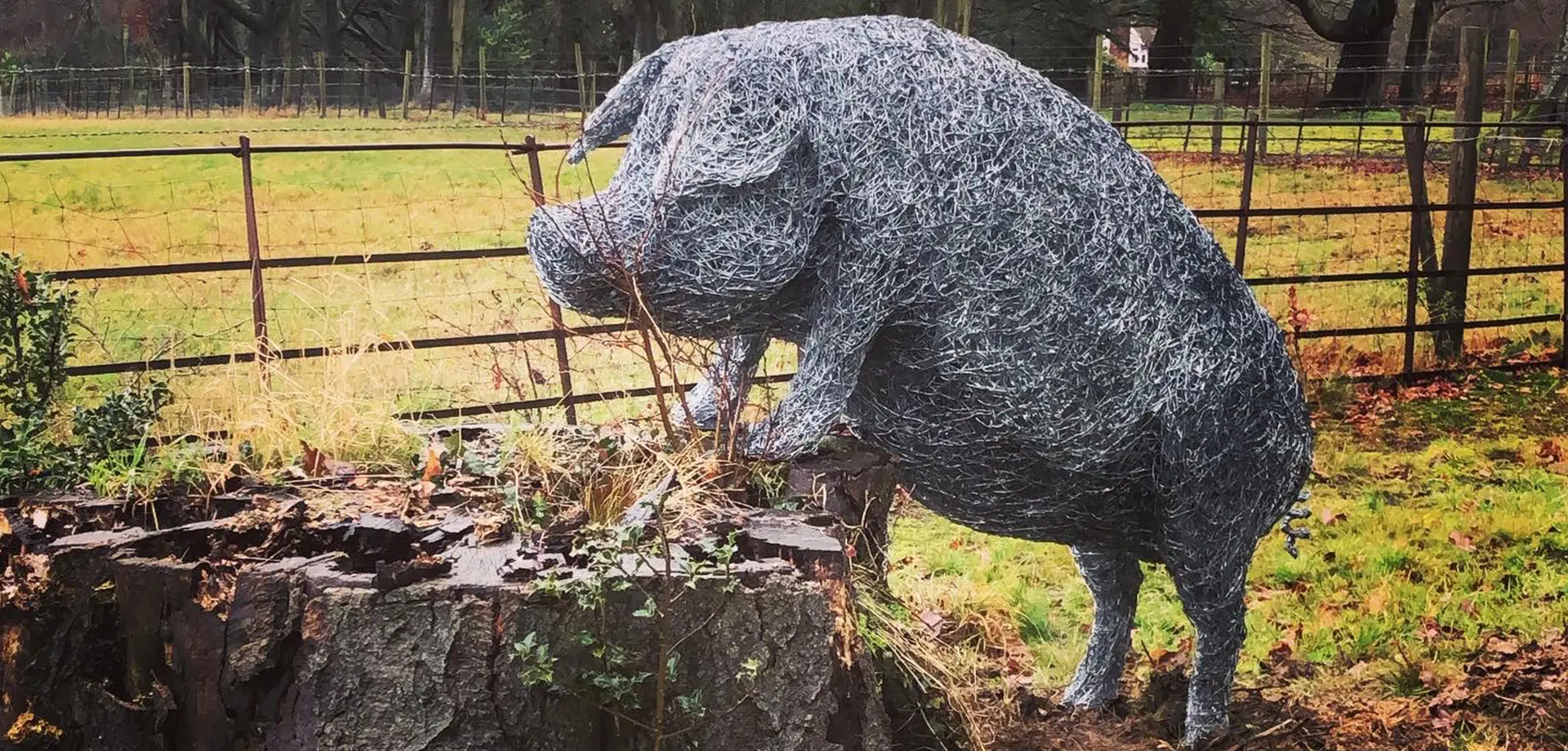 Willow Weaving Masterclass - Pig